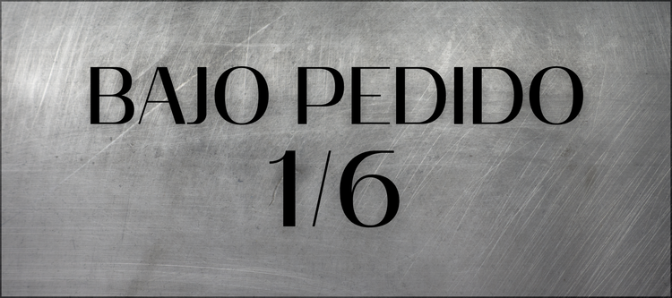 BAJO PEDIDO 1/6
