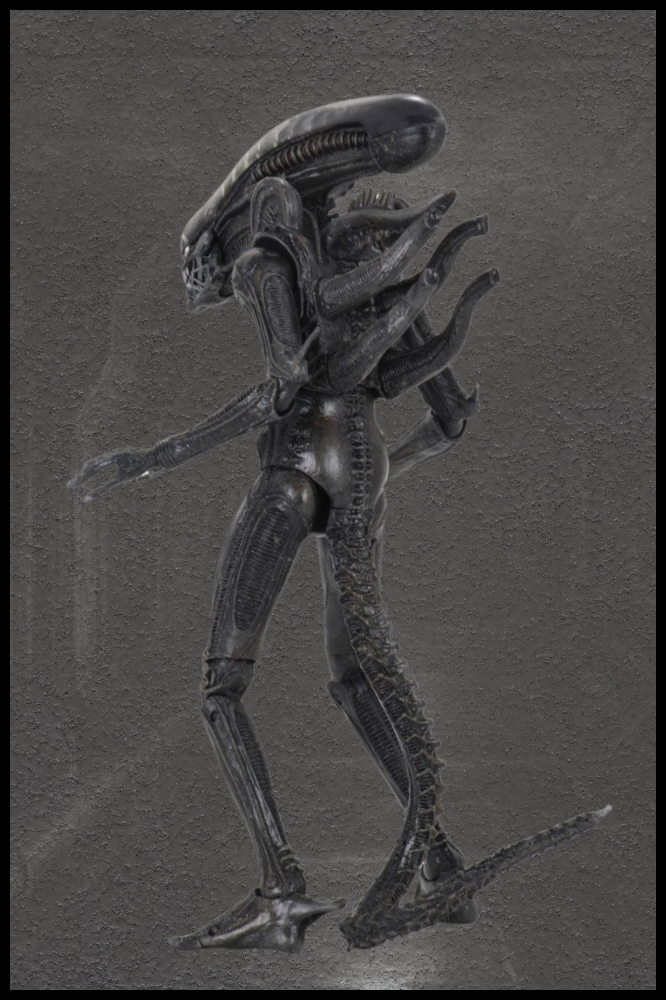 Vista frontal del Xenomorfo – figura articulada Alien NECA