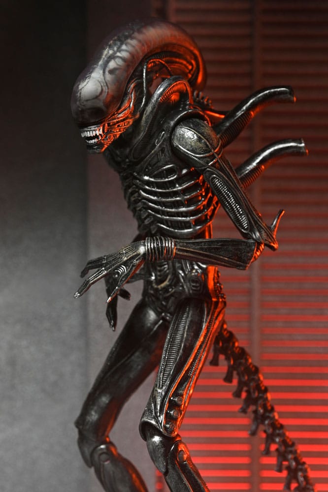 Primer plano del Xenomorph XX121 Ultimate de Alien Romulus alien romulus xenomorph xx121 ultimate figura 18cm neca movie collectible.