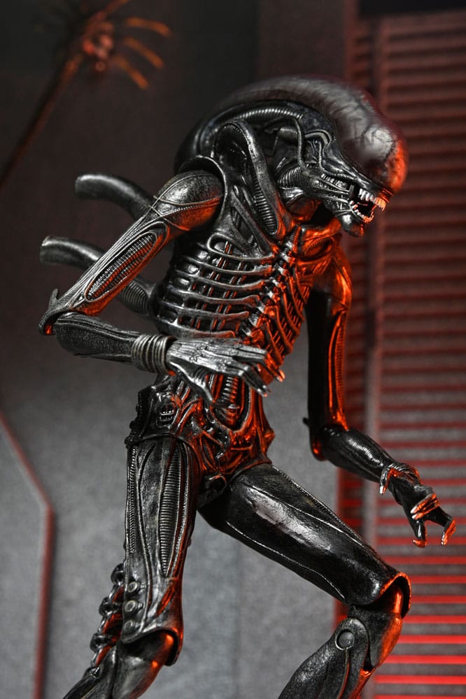 Vista lateral del Xenomorph mostrando detalles de su esculpido alien romulus xenomorph xx121 ultimate figura 18cm neca movie collectible.