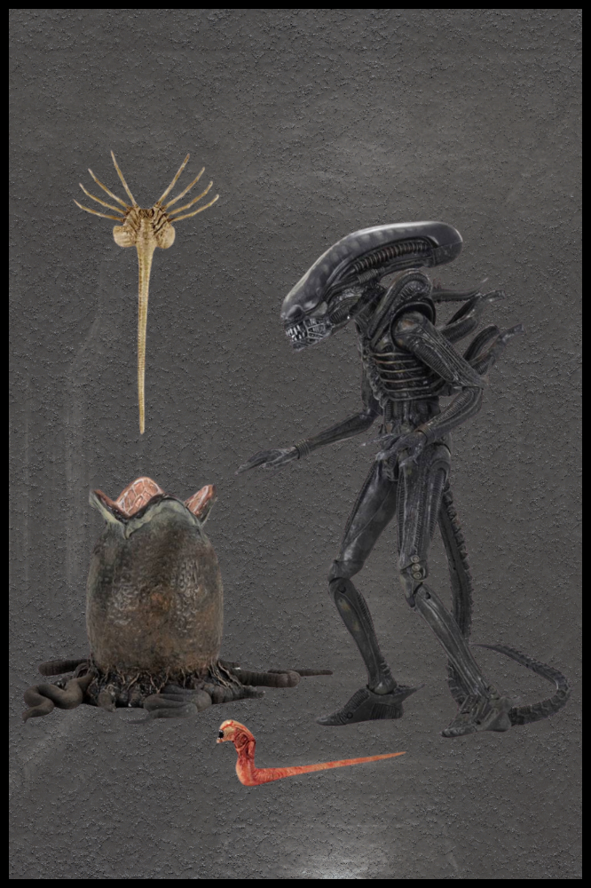 Figura Big Chap 23 cm – NECA Ultimate Alien 40 Aniversario