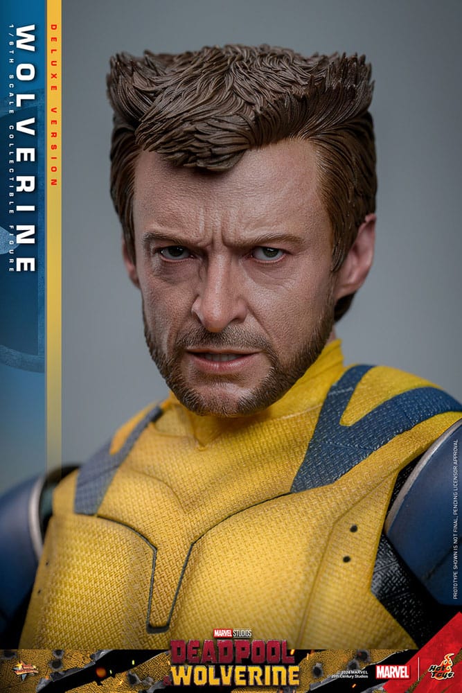 Primer plano de la figura Hot Toys Wolverine Deluxe con gran detalle facial y expresión seria.