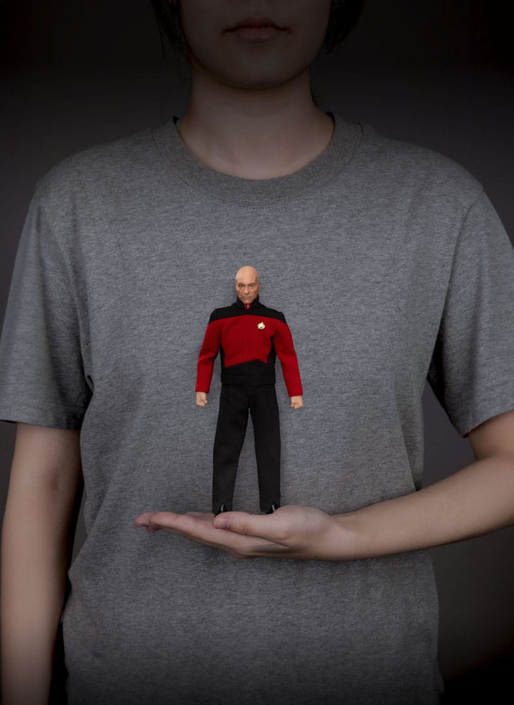 JEAN-LUC PICARD STAR TREK THE NEXT GENERATION BEAST KINGDOM FIGURA 20 CM