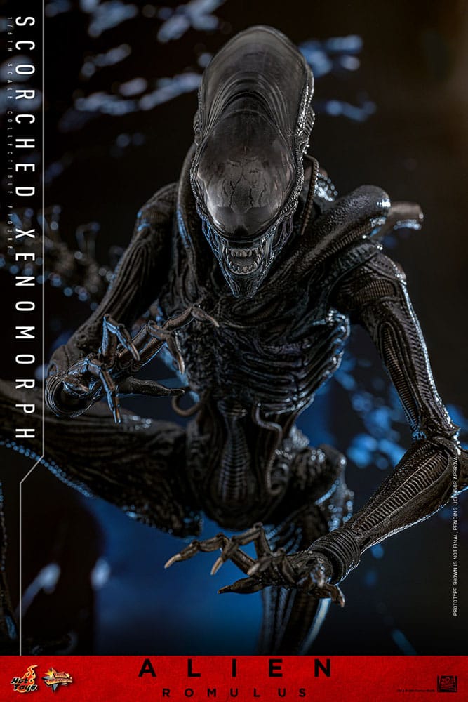 SCORCHED XENOMORPH HOT TOYS