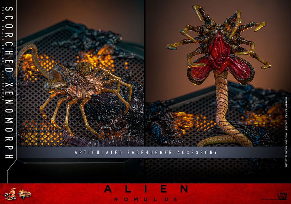 SCORCHED XENOMORPH HOT TOYS