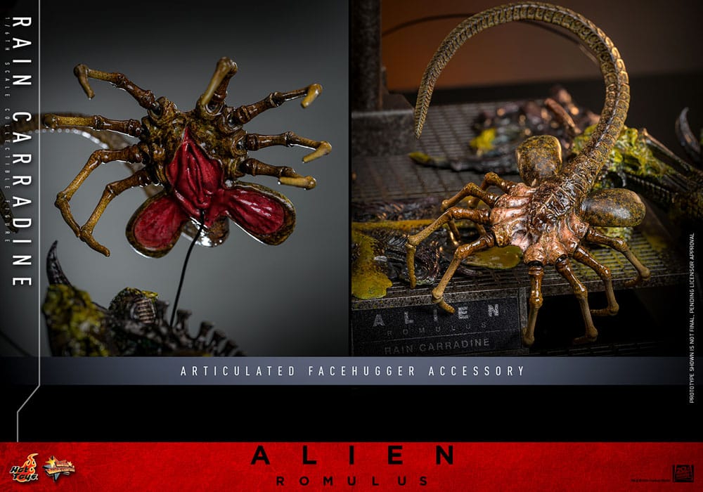 RAIN CARRADINE – ALIEN: ROMULUS – HOT TOYS 1/6 FIGURA ARTICULADA 26 CM
