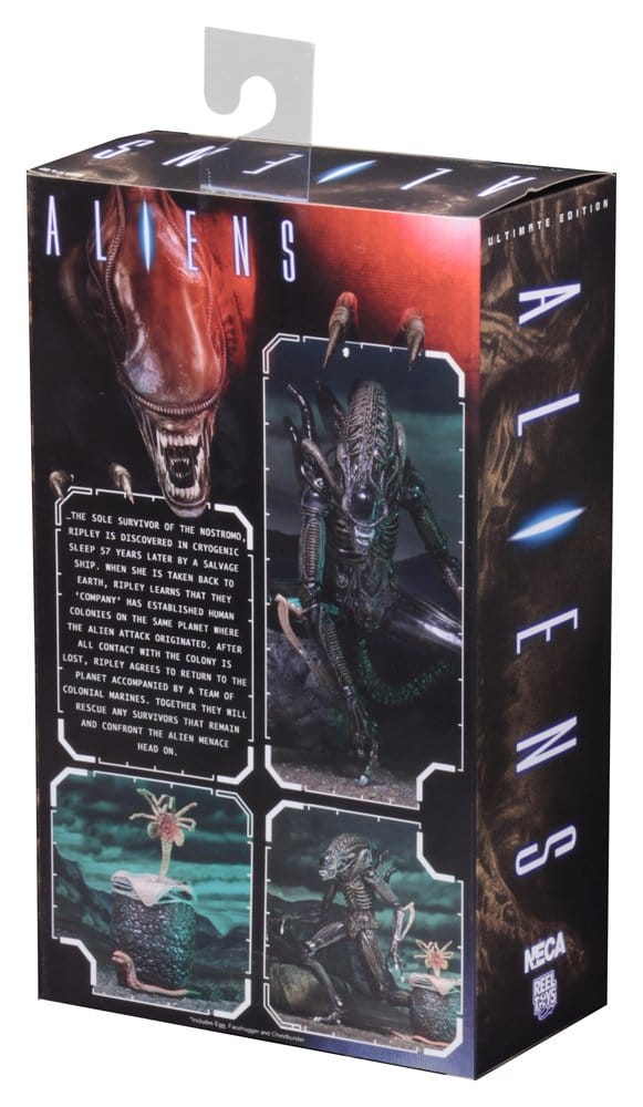 WARRIOR XENOMORPH BROWN – ALIENS FIGURA ULTIMATE 23 CM (NECA – ALIENS 1986)