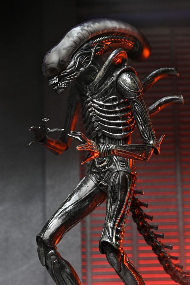ALIEN ROMULUS – XENOMORPH XX121 ULTIMATE – FIGURA 18 CM – NECA – MOVIE COLLECTIBLE