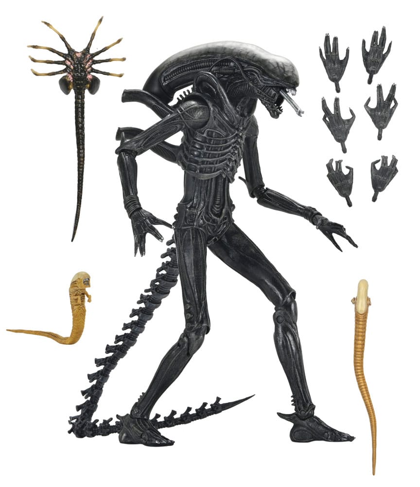 ALIEN ROMULUS – XENOMORPH XX121 ULTIMATE – FIGURA 18 CM – NECA – MOVIE COLLECTIBLE