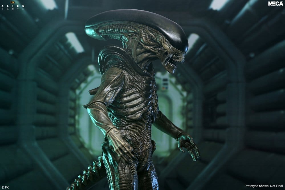 XENOMORPH FIGURA ULTIMATE ALIEN: EARTH 18 CM – NECA