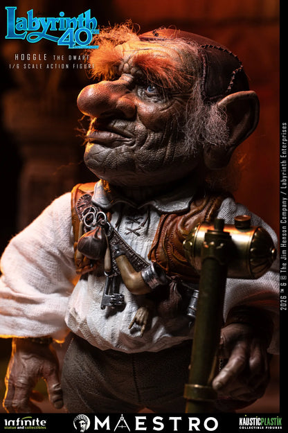 HOGGLE THE DWARF FIGURA 1/6 LABYRINTH 17 CM – KAUSTIC PLASTIK