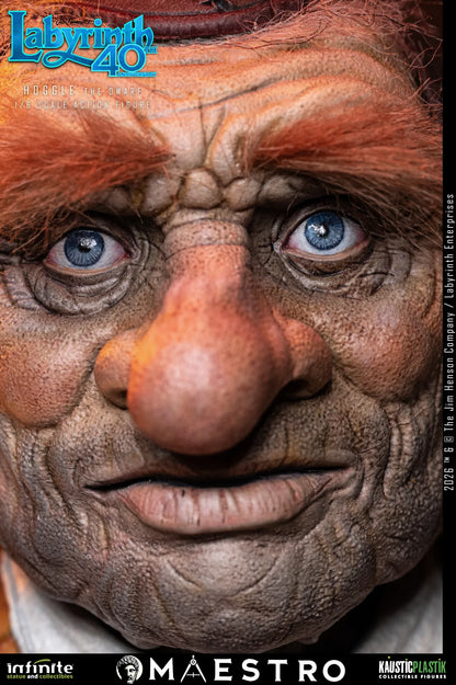 HOGGLE THE DWARF FIGURA 1/6 LABYRINTH 17 CM – KAUSTIC PLASTIK