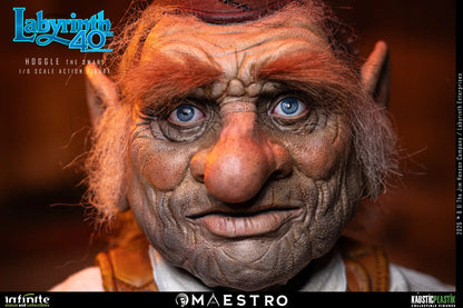 HOGGLE THE DWARF FIGURA 1/6 LABYRINTH 17 CM – KAUSTIC PLASTIK