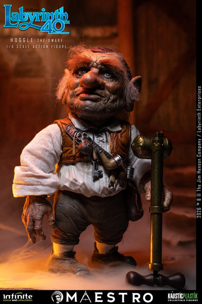 HOGGLE THE DWARF FIGURA 1/6 LABYRINTH 17 CM – KAUSTIC PLASTIK