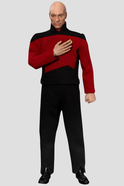 JEAN-LUC PICARD STAR TREK THE NEXT GENERATION BEAST KINGDOM FIGURA 20 CM