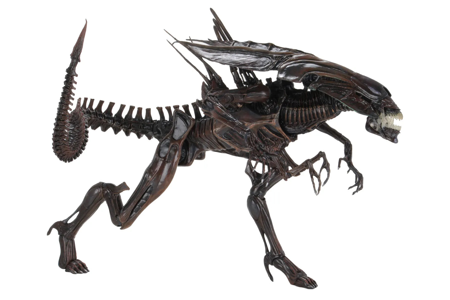 ALIEN QUEEN RESURRECTION DELUXE  37 CM – ALIENS RESURRECTION – NECA