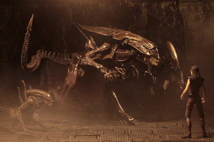 ALIEN QUEEN RESURRECTION DELUXE  37 CM – ALIENS RESURRECTION – NECA