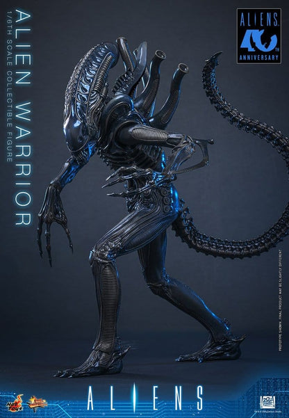 alien-warrior-hot-toys-1-6-02