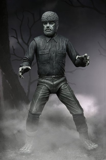 Figura Ultimate Black & White de The Wolf Man de Universal Monsters fabricada por NECA, con acabado en blanco y negro inspirado en la película clásica de 1941.