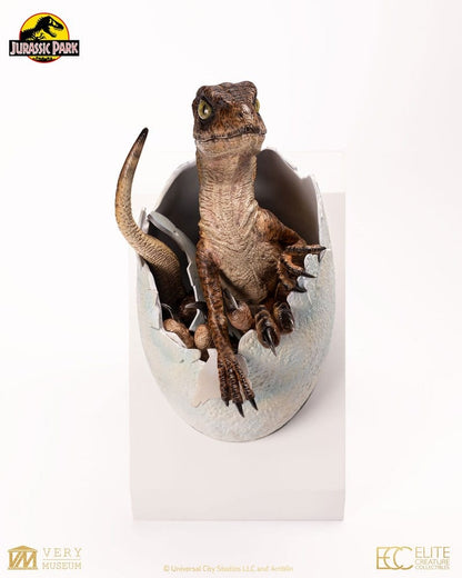 Vista completa de la réplica Velociraptor Hatching Egg mostrando la cría emergiendo del huevo con acabados hiperrealistas.