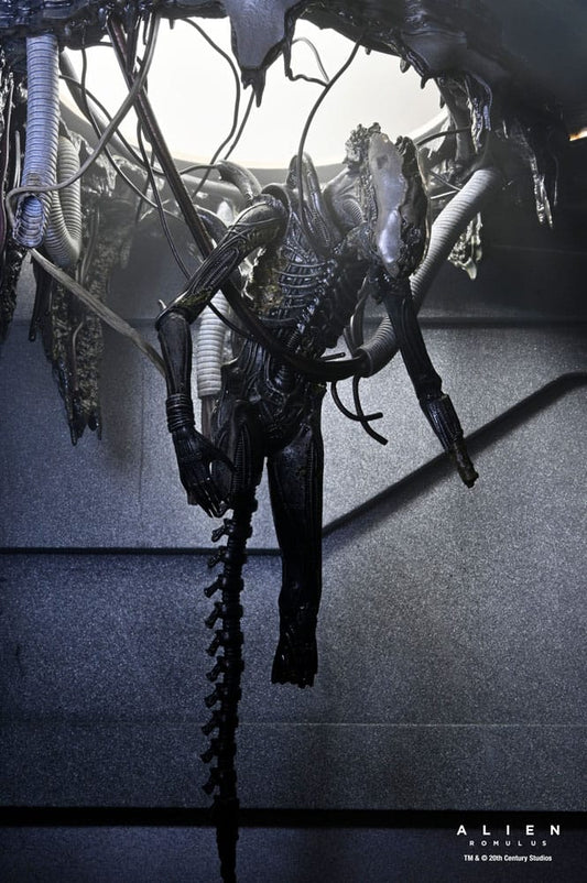 Vista frontal del Xenomorph suspendido en el laboratorio alien romulus deluxe suspended lab xenomorph xx121 neca figura 18cm.