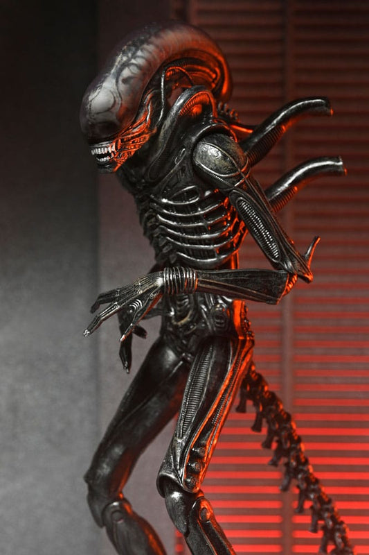 Primer plano del Xenomorph XX121 Ultimate de Alien Romulus alien romulus xenomorph xx121 ultimate figura 18cm neca movie collectible.