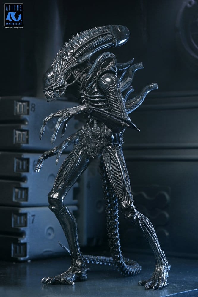 Figura Warrior Xenomorph Black 40th Anniversary de NECA basada en Aliens 1986 con acabado negro brillante y gran nivel de detalle