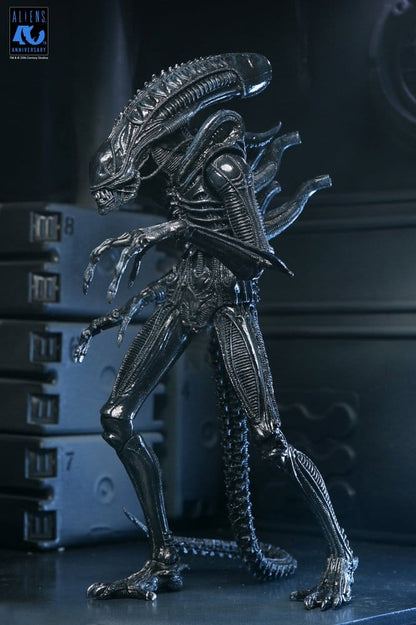 Figura Warrior Xenomorph Black 40th Anniversary de NECA basada en Aliens 1986 con acabado negro brillante y gran nivel de detalle