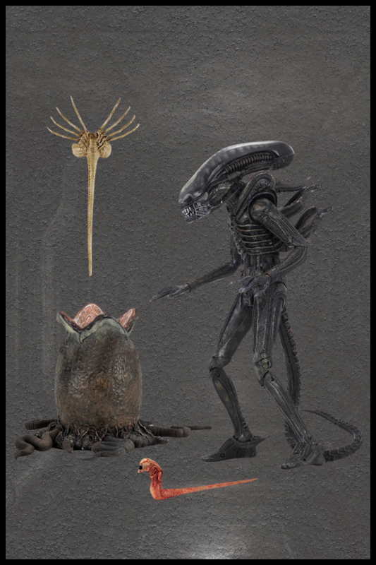 Figura Big Chap 23 cm – NECA Ultimate Alien 40 Aniversario