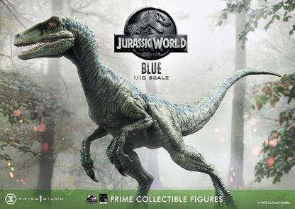 Presentación oficial y caja de la estatua Blue escala 1/10.