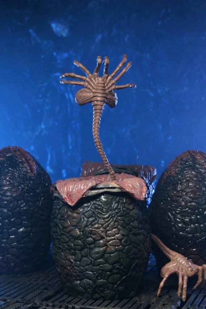 Pack Carton of Alien Eggs 40th Anniversary de NECA con Ovomorfos y Facehuggers para diorama Alien