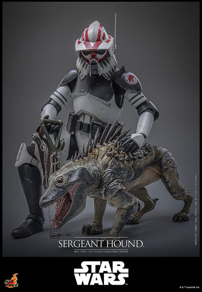 Hot Toys Star Wars The Clone Wars Sergeant Hound con criatura Massiff