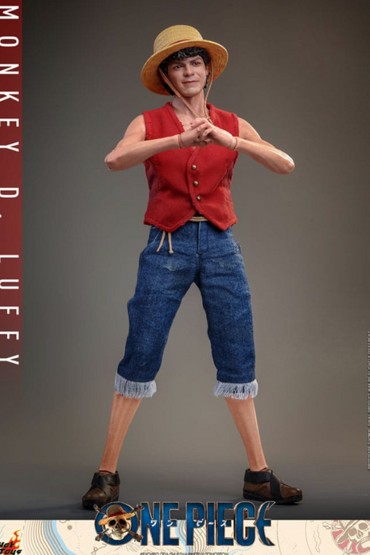 Figura articulada Monkey D. Luffy Hot Toys de One Piece Netflix