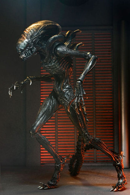 Figura articulada Ultimate Scorched Xenomorph con accesorios – NECA