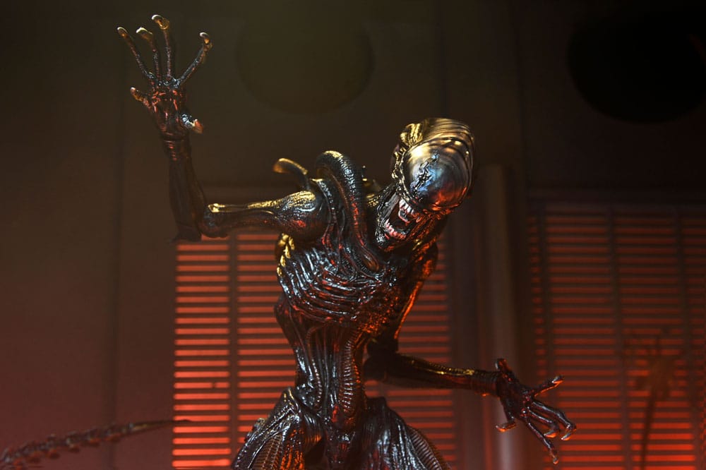 Detalle de la figura y caja coleccionista Ultimate Scorched Xenomorph – NECA