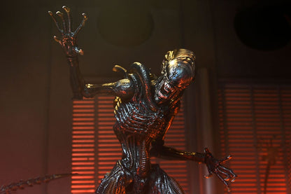 Detalle de la figura y caja coleccionista Ultimate Scorched Xenomorph – NECA