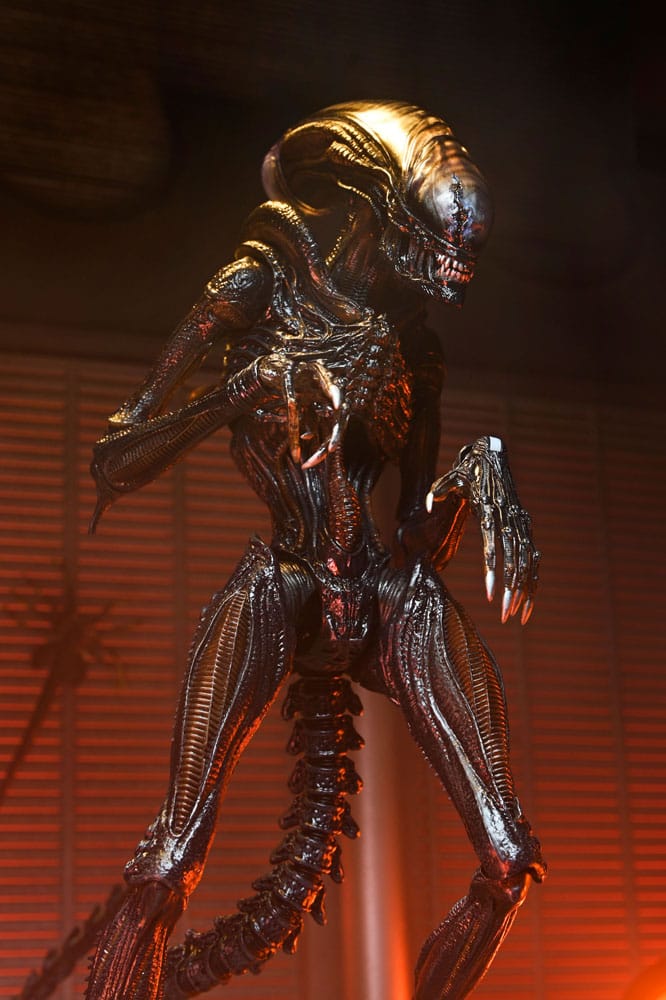 Figura Ultimate Scorched Xenomorph 18 cm – NECA – Alien Romulus