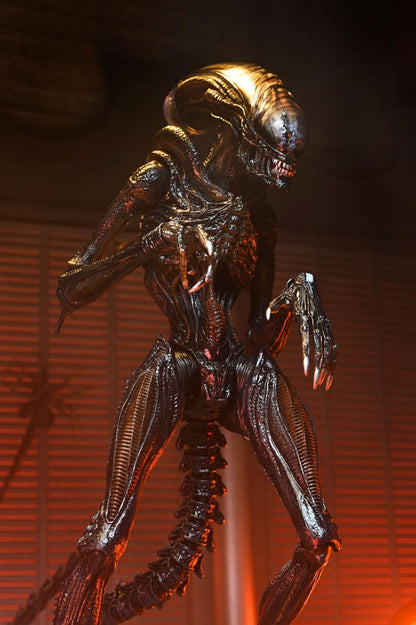 Figura Ultimate Scorched Xenomorph 18 cm – NECA – Alien Romulus