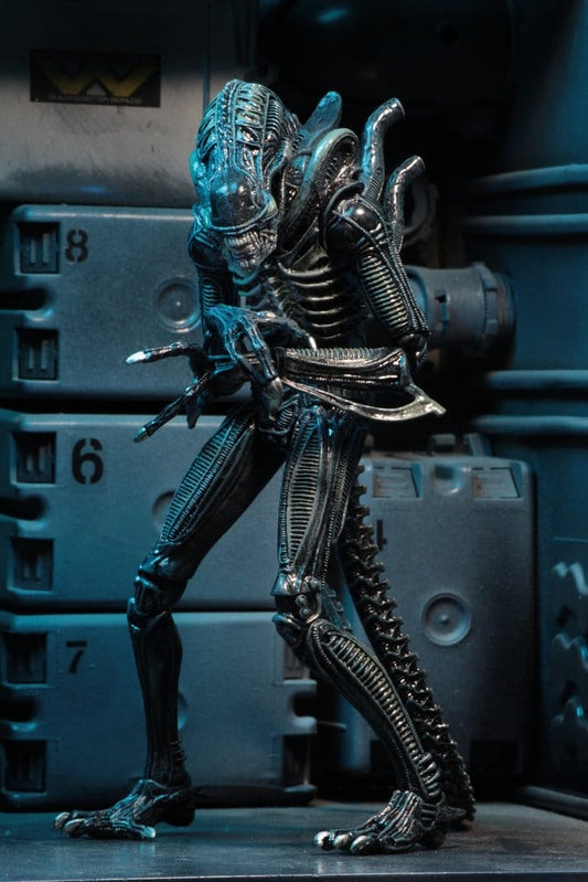 Figura Warrior Xenomorph Blue de NECA basada en Aliens 1986 con acabado azul y diseño detallado