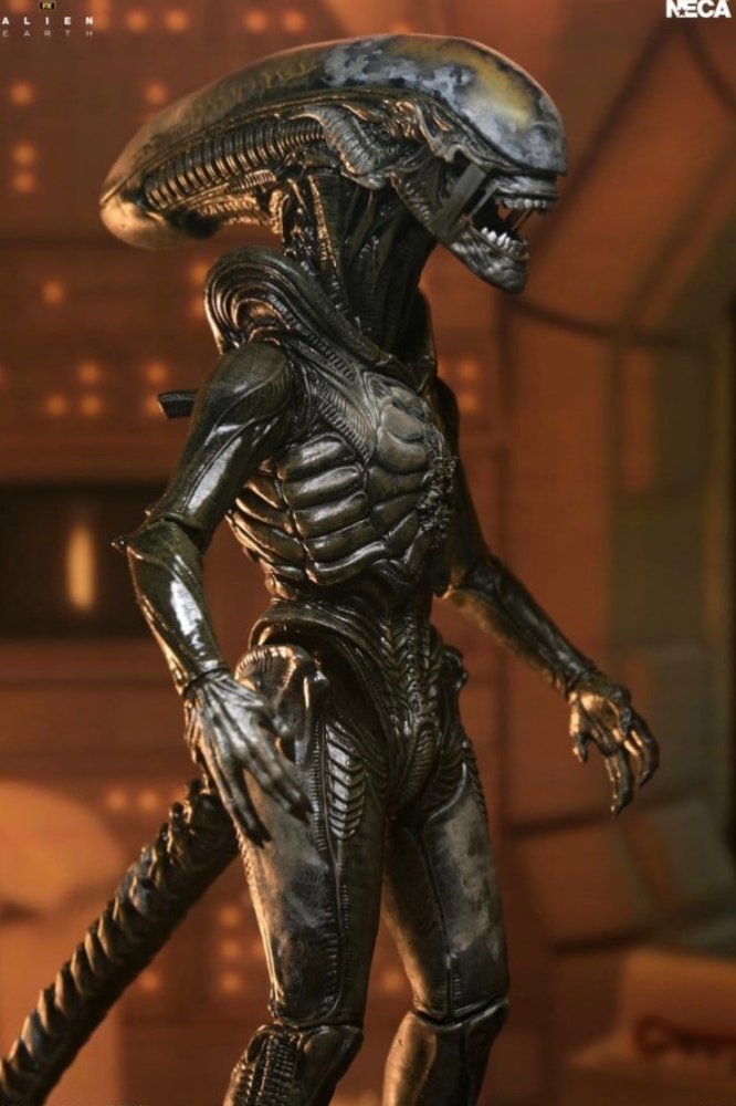 Wendy's Xenomorph Figura Ultimate Alien Earth 18 cm NECA