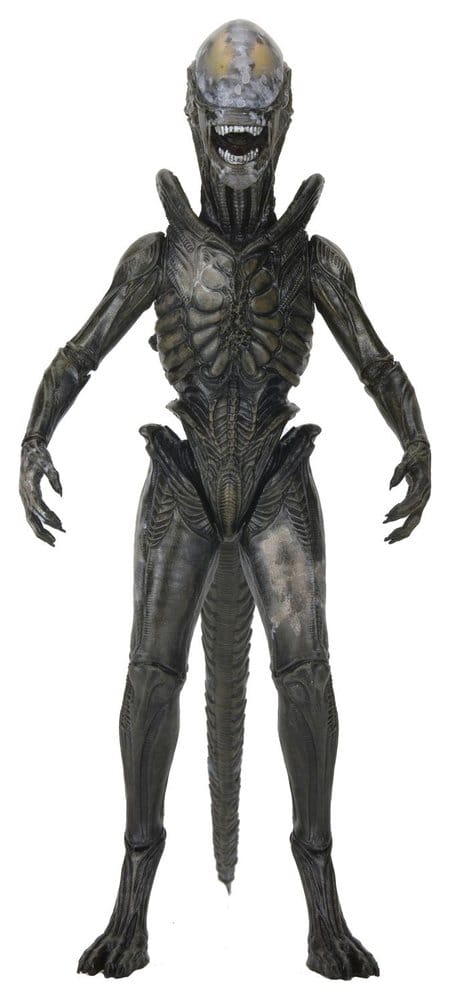 Figura Wendy's Xenomorph Ultimate Alien Earth NECA vista frontal