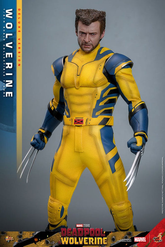 Figura Hot Toys Wolverine Deluxe Version frontal con traje amarillo y azul escala 1/6.