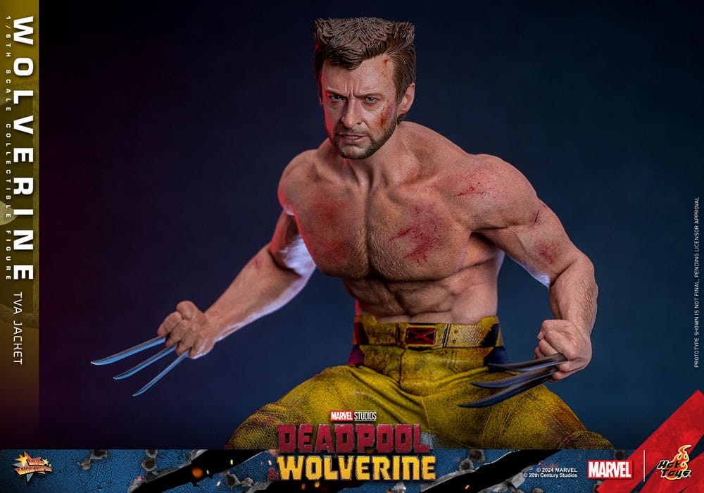 Detalle de esculpido y musculatura en la figura de Wolverine de Hot Toys