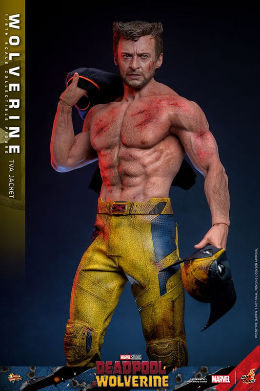 Figura 1/6 de Wolverine con chaqueta TVA – Hot Toys versión Deadpool & Wolverine