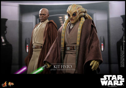 KIT FISTO - STAR WARS HOT TOYS MOVIE MASTERPIECE 1/6 FIGURA 32 CM