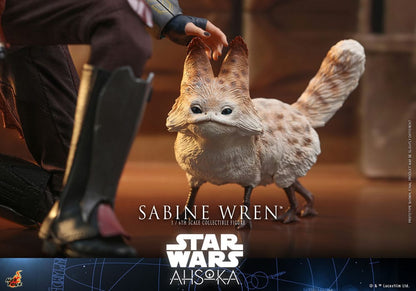 SABINE WREN FIGURA 1/6 28 CM STAR WARS AHSOKA HOT TOYS