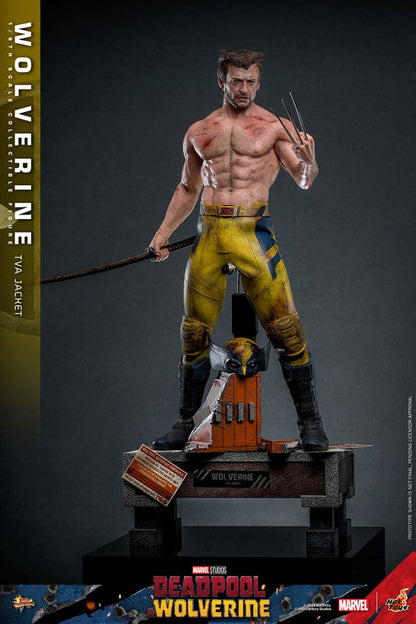 WOLVERINE DEADPOOL & WOLVERINE - MOVIE MASTERPIECE 1/6 - TVA JACKET VERSION 31 CM HOT TOYS