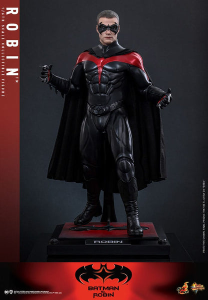 ROBIN - BATMAN Y ROBIN HOT TOYS