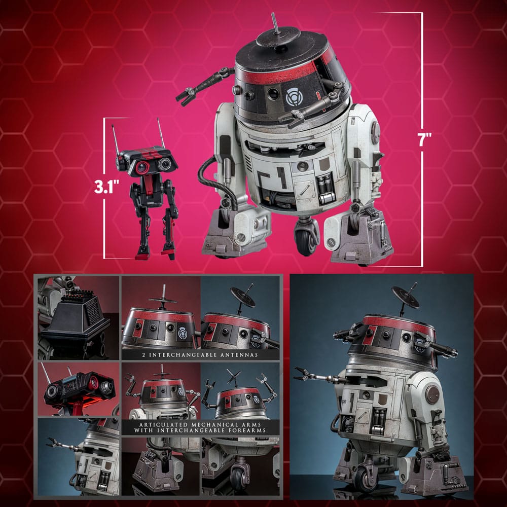 CHOPPER (C1-10P™) & BD-1™ IMPERIAL DISGUISE – FIGURE SET 1/6 (HOT TOYS – STAR WARS EXCLUSIVE)