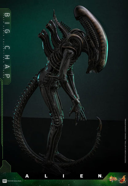 ALIEN – FIGURA BIG CHAP 1/6 (HOT TOYS – MOVIE MASTERPIECE) 36 CM